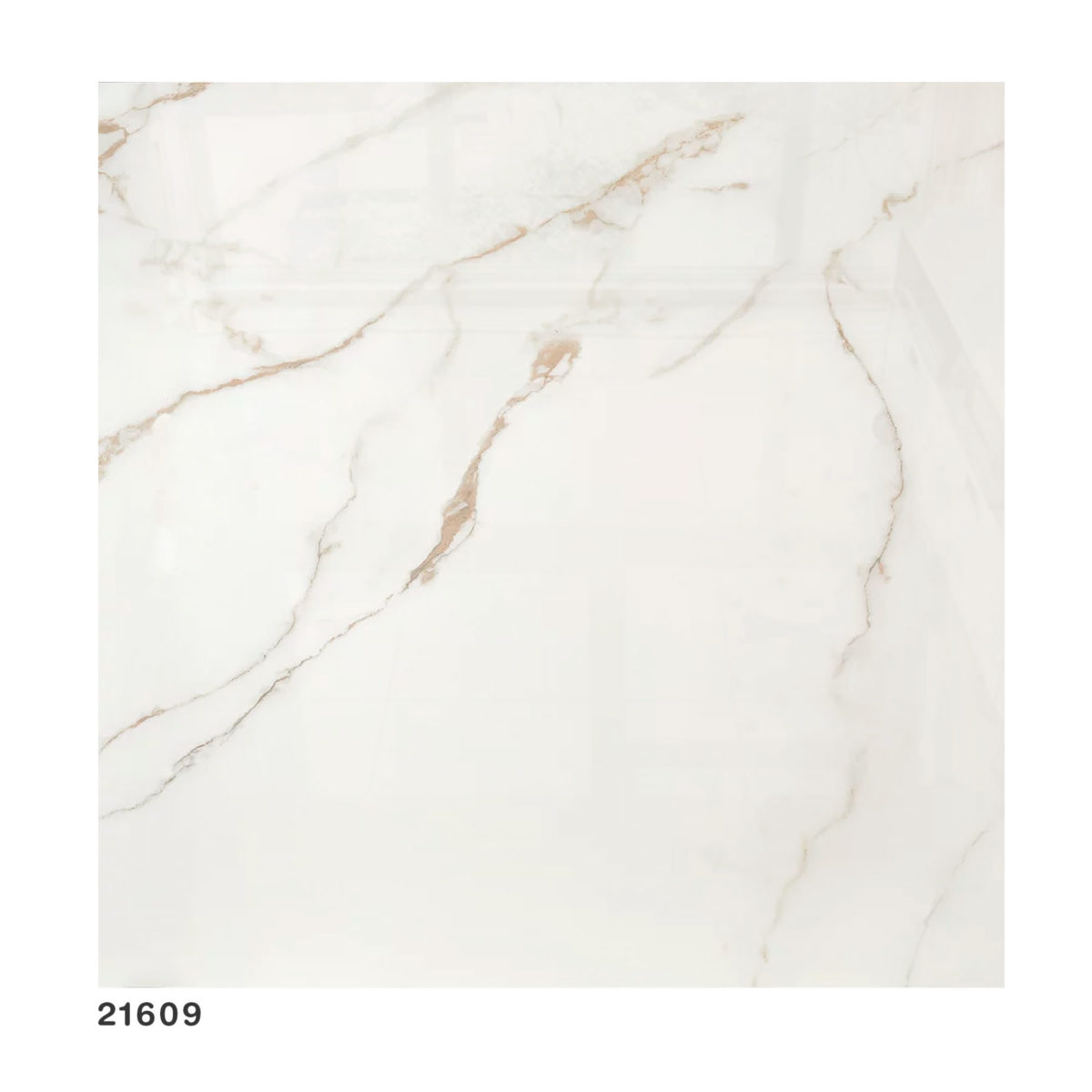 porcelanato-pulido-a-60x60-oro-bianco-ret-construcasa-pisos-y